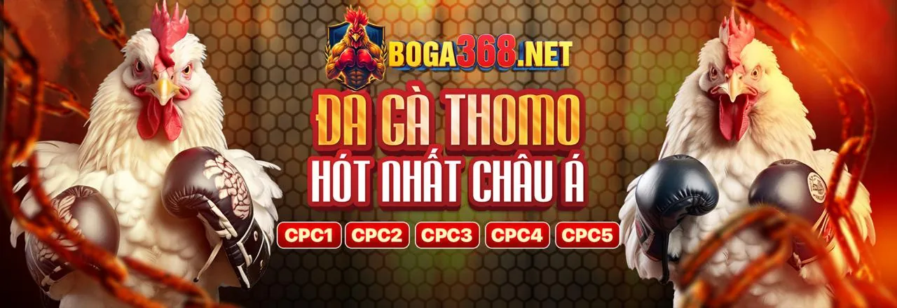 Hình ảnh giới thiệu FV88, nền tảng cá cược trực tuyến